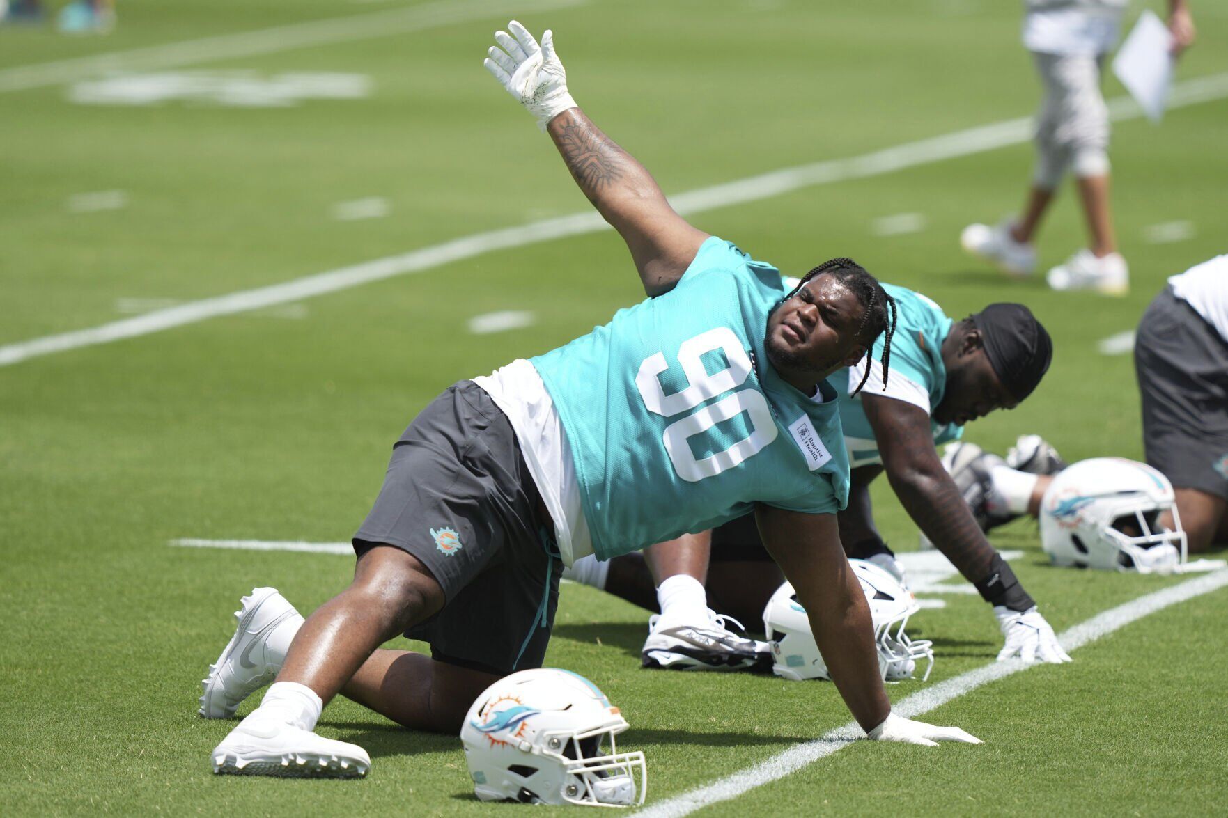 Dolphins Football